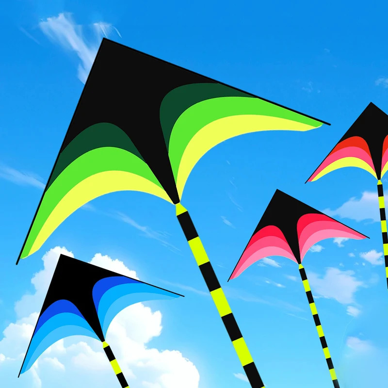 大人も子供も簡単に飛ばせる大型デルタカイト、5mテール付き、 - Kite Easy Fly Kids のレビューと価格