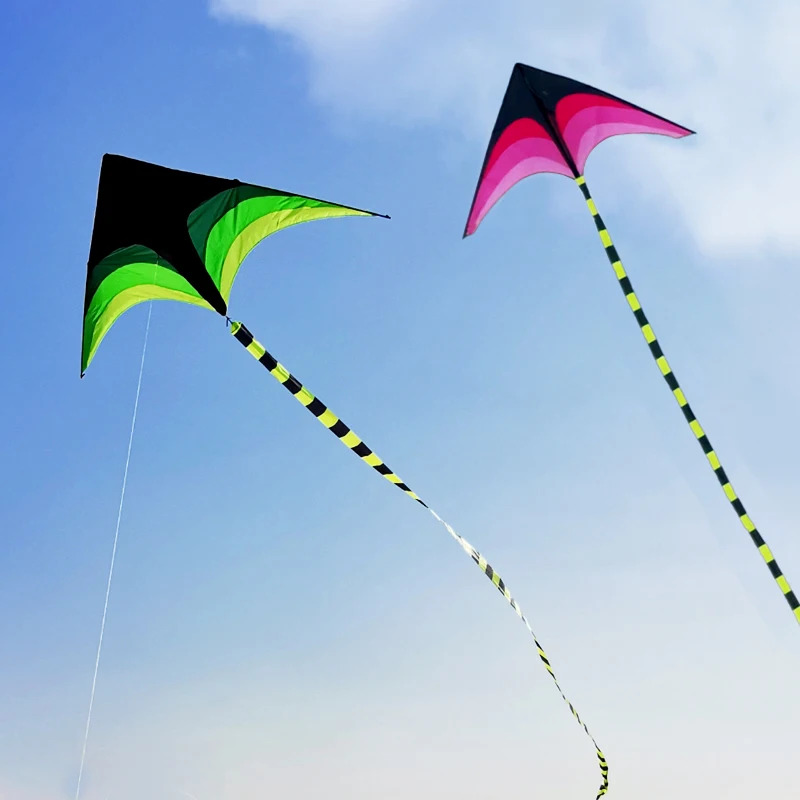 大人も子供も簡単に飛ばせる大型デルタカイト、5mテール付き、 - Kite Easy Fly Kids のレビューと価格