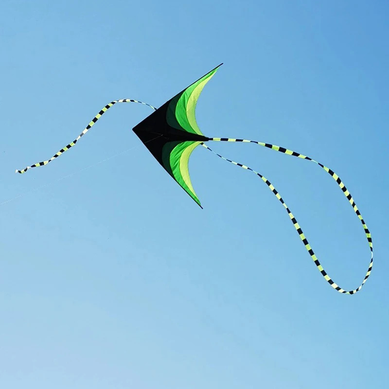 大人も子供も簡単に飛ばせる大型デルタカイト、5mテール付き、 - Kite Easy Fly Kids のレビューと価格