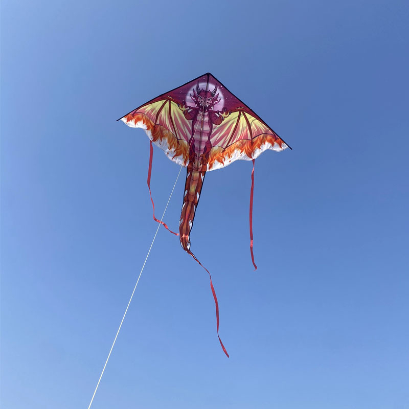 子供と大人のための大きなドラゴン凧 飛ばしやすい 大きな巨大 - Kite Easy Fly Kids のレビューと価格
