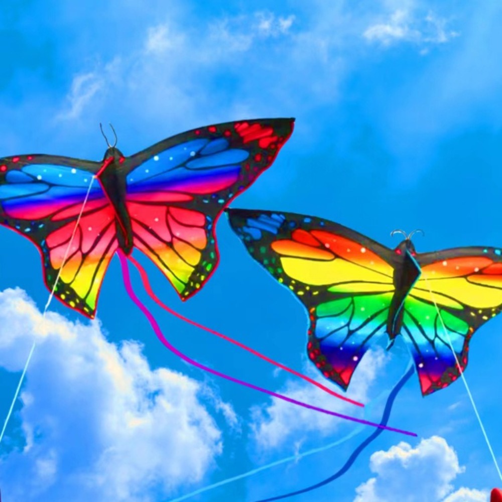 簡単に飛ばせるカラフルな蝶凧ステアリング良い飛行子供用凧ロン - Kite Easy Fly Kids のレビューと価格
