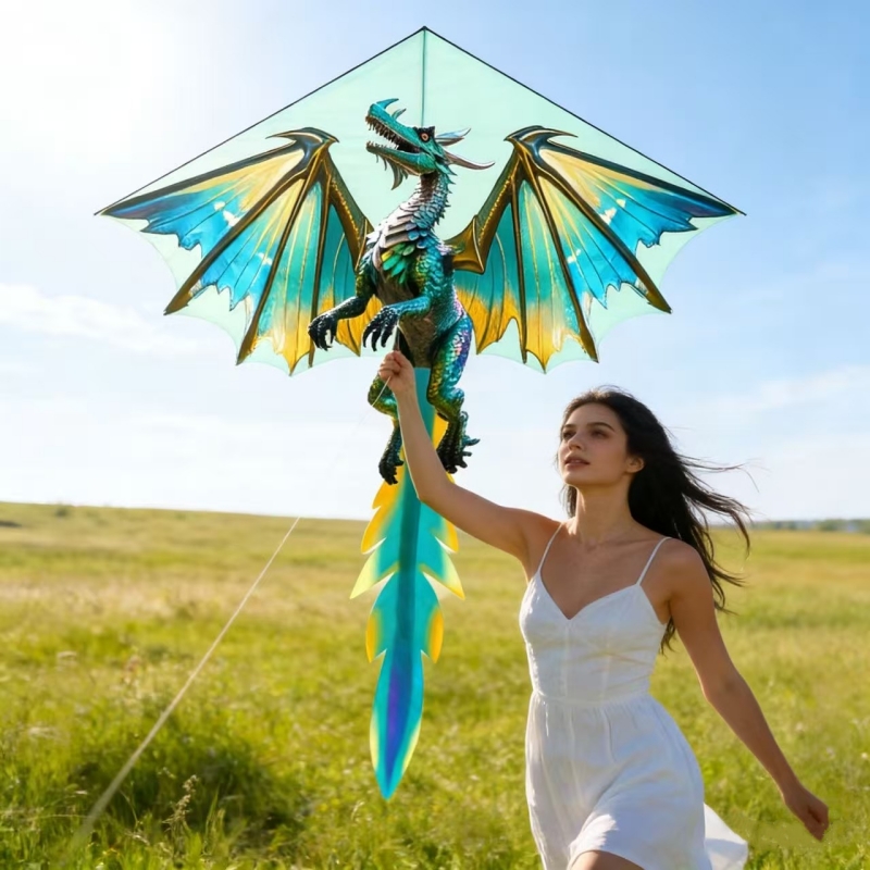 ドラゴン凧、子供用凧、凧糸、イーグル凧、タコ凧、フライパラシ - Kite Easy Fly Kids のレビューと価格