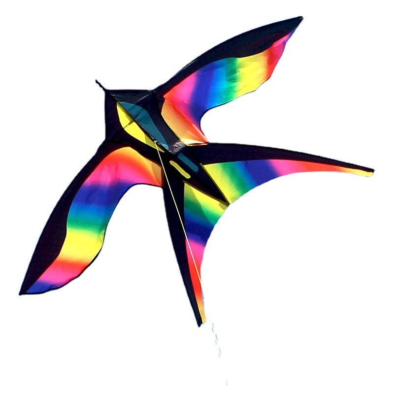 カラフルなレインボーバードカイト、楽しいスポーツ、ビーチ、ト - Kite Easy Fly Kids のレビューと価格