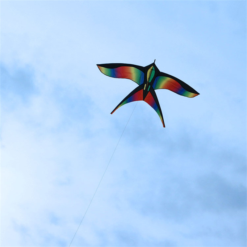 カラフルなレインボーバードカイト、楽しいスポーツ、ビーチ、ト - Kite Easy Fly Kids のレビューと価格