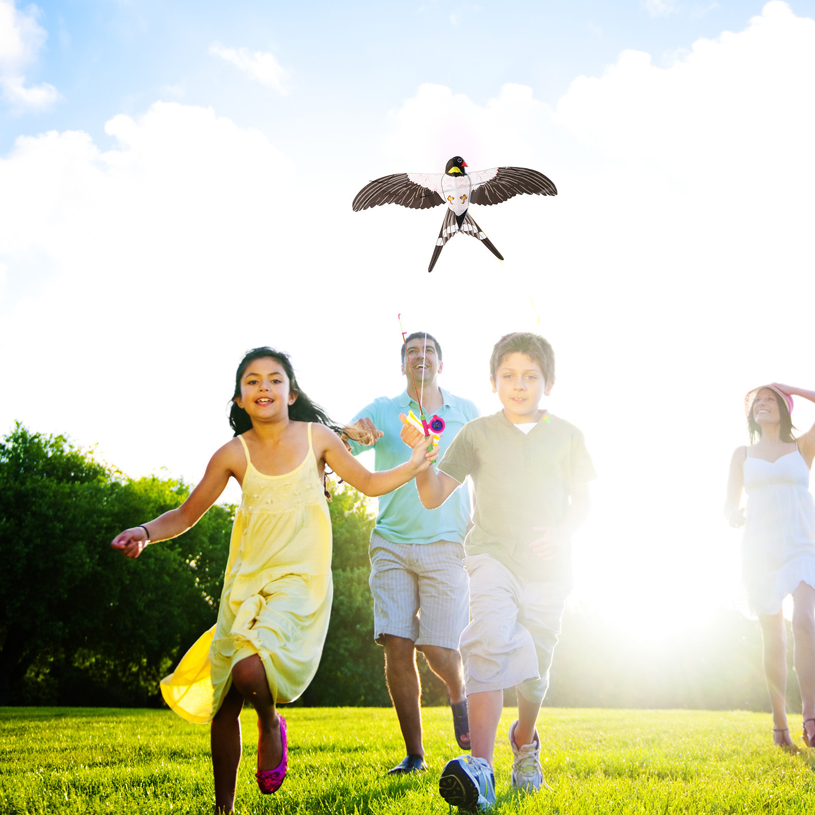 簡単に飛ばせる鳥凧 子供用屋外凧 子供用凧おもちゃ 面白いツ - Kite Easy Fly Kids のレビューと価格