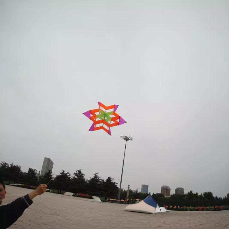 旅行に便利な3D梅の花スタイルの凧、子供と大人向け、ビーチ、 - Kite Easy Fly Kids のレビューと価格